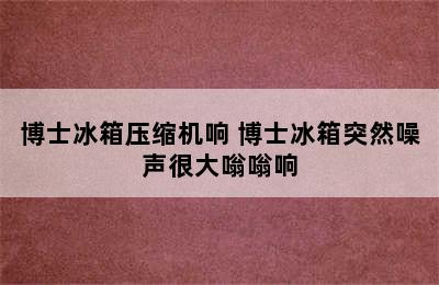 博士冰箱压缩机响 博士冰箱突然噪声很大嗡嗡响